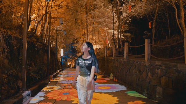 夜游項(xiàng)目